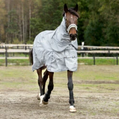 Horze Nevada 600D Regendecke, 0g -Reitsportbedarf Verkäufe 2024 24056 LRG 4