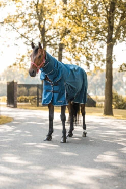 Horze Glasgow Regendecke Mit Halsteil, 150g -Reitsportbedarf Verkäufe 2024 24109 559 06