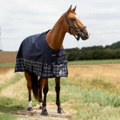 Horze Nevada 1200D Regendecke,100g -Reitsportbedarf Verkäufe 2024 24128 PDB LDGR 1