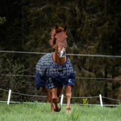 Horze Nevada 1200D Regendecke,100g -Reitsportbedarf Verkäufe 2024 24128 VDB MBZ 3