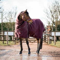 B Vertigo Georgina Weidedecke Mit Abnehmbarem Halsteil, 250g -Reitsportbedarf Verkäufe 2024 24133 WDRE 3