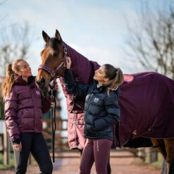 B Vertigo Georgina Weidedecke Mit Abnehmbarem Halsteil, 250g -Reitsportbedarf Verkäufe 2024 24133 WDRE 5