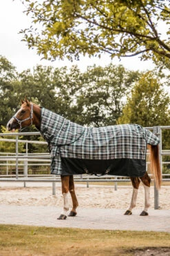 Horze Nevada Halsteil Für Regendecke, 200g -Reitsportbedarf Verkäufe 2024 24138 UDGR 4