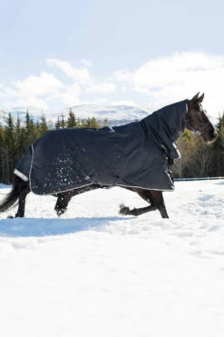 B Vertigo Georgina Winterdecke Mit Halsteil 400g -Reitsportbedarf Verkäufe 2024 24157 VDB 03