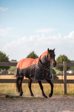 Horze Lucerne Halsteil, 250g -Reitsportbedarf Verkäufe 2024 24199 237 04