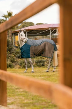 Horze Kenya Leichte Mesh Weidedecke Mit Abnehmbarem Halsteil -Reitsportbedarf Verkäufe 2024 24204 581 08