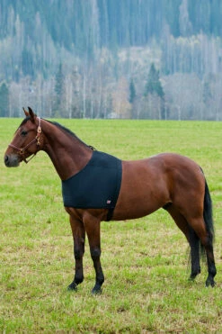 Horze ComForce Schulterschutz -Reitsportbedarf Verkäufe 2024 24315 BL 02