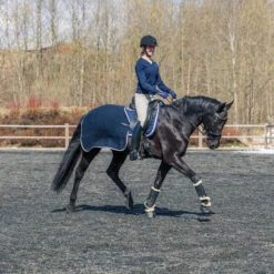 B Vertigo Concord Trainingsdecke -Reitsportbedarf Verkäufe 2024 24328 VDB 3