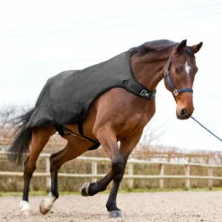 Horze Nevada Führanlagendecke, 200g -Reitsportbedarf Verkäufe 2024 24331 BL 3