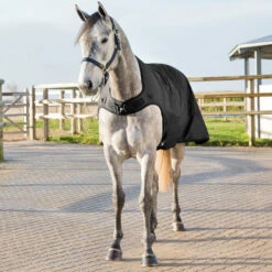 Horze Nevada Führanlagendecke, 200g -Reitsportbedarf Verkäufe 2024 24331 BL 4