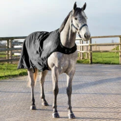 Horze Nevada Führanlagendecke, 200g -Reitsportbedarf Verkäufe 2024 24331 BL 5