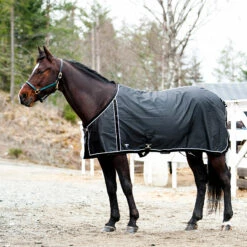 FT Sommerdecke, Enstex -Reitsportbedarf Verkäufe 2024 24370 BL BL 1