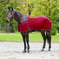 FT Sommerdecke, Enstex -Reitsportbedarf Verkäufe 2024 24370 BL B 2