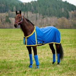 FT Sommerdecke, Enstex -Reitsportbedarf Verkäufe 2024 24370 B YE 1