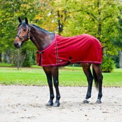 FT Sommerdecke, Enstex -Reitsportbedarf Verkäufe 2024 24370 RE RE 1