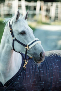 Horze Fairfax UV-Schutz Decke -Reitsportbedarf Verkäufe 2024 24377 vdb 03