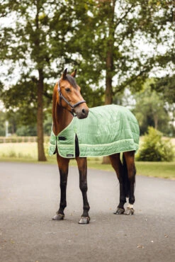 Horze Quebec Fleece Liner, 100g -Reitsportbedarf Verkäufe 2024 24398 651 07