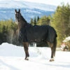 Horze Nevada Winterdecke, 400g -Reitsportbedarf Verkäufe 2024 24571 BL 1