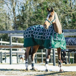 Horze Nevada Mittelschwere Regendecke, 200g -Reitsportbedarf Verkäufe 2024 24574 BTGR VDB 3