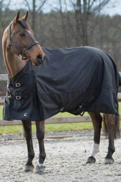 Horze Nevada Regendecke -Reitsportbedarf Verkäufe 2024 24575 BL 02