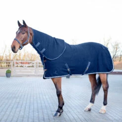 Reitsportbedarf Verkäufe 2024 -Reitsportbedarf Verkäufe 2024 24611 PDB 10