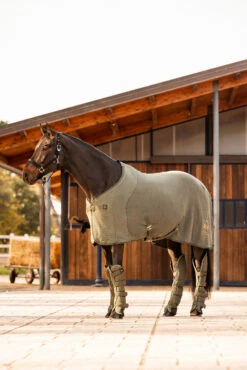 B Vertigo Wellington Abschwitzdecke -Reitsportbedarf Verkäufe 2024 24688 630 06