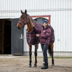 B Vertigo Corey Stalldecke, 250g -Reitsportbedarf Verkäufe 2024 24793 WDRE 1