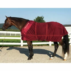 Back On Track Netzdecke 10 Back On Track Netzdecke -Reitsportbedarf Verkäufe 2024 24802 DRE 1