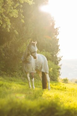 Horze La Pampa Fliegenschutz Set -Reitsportbedarf Verkäufe 2024 24817 g 12