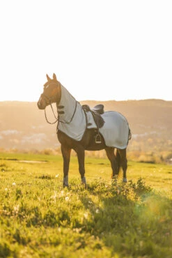 Horze Eira Fliegen-Ausreitdecke Mit Abnehmbarem Halsteil -Reitsportbedarf Verkäufe 2024 24822 g 10