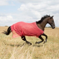 Horze Orleans Fliegendecke -Reitsportbedarf Verkäufe 2024 24835 SCPI 1