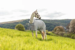 Horze Orleans Fliegendecke -Reitsportbedarf Verkäufe 2024 24835 hrg 10