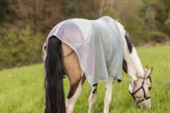 Horze Orleans Fliegendecke -Reitsportbedarf Verkäufe 2024 24835 hrg 12