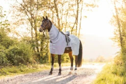 Horze Orleans Fliegen-Ausreitdecke -Reitsportbedarf Verkäufe 2024 24836 hrg 09