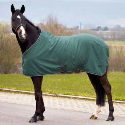 Horze Glasgow Sommerdecke, 0g 14 Horze Glasgow Sommerdecke, 0g -Reitsportbedarf Verkäufe 2024 24839 SIGR 1