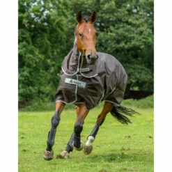 Bucas Smartex Combi Neck, 0g -Reitsportbedarf Verkäufe 2024 24860 BR 2