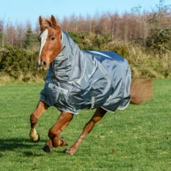 Bucas Smartex Combi Neck, 0g -Reitsportbedarf Verkäufe 2024 24860 IG 1