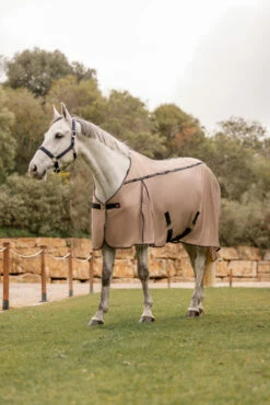 B Vertigo Combo Fly Rug With Detachable Neck And UV Protection -Reitsportbedarf Verkäufe 2024 24899 726 09