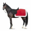 Horze Weihnachtliche Ausreitdecke -Reitsportbedarf Verkäufe 2024 24995 RE 3