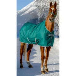 Bucas Freedom Turnout 150g, Pony Decke -Reitsportbedarf Verkäufe 2024 300449 JGR 1