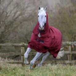 Bucas Freedom Turnout Full Neck Regendecke Mit Festem Halsteil, 0g -Reitsportbedarf Verkäufe 2024 300453 CRE 2