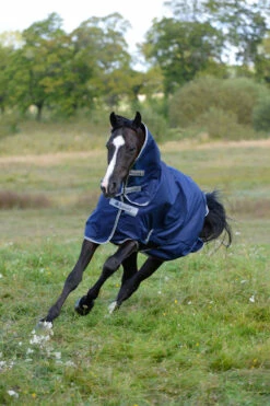 Bucas Freedom Turnout Full Neck Regendecke Mit Festem Halsteil, 0g -Reitsportbedarf Verkäufe 2024 300453 DB 3