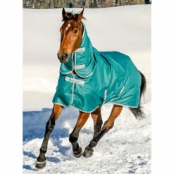 Bucas Freedom Turnout Full Neck Regendecke Mit Festem Halsteil, 0g -Reitsportbedarf Verkäufe 2024 300453 JGR 1