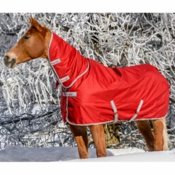 Bucas Freedom Turnout Full Neck Regendecke Mit Festem Halsteil, 0g -Reitsportbedarf Verkäufe 2024 300453 SRE 1
