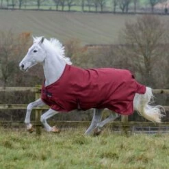 Bucas Freedom Turnout Light Regendecke, 0g -Reitsportbedarf Verkäufe 2024 300455 CRE 1