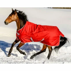 Bucas Freedom Turnout Light Pony Regdendecke, 0g -Reitsportbedarf Verkäufe 2024 300456 SRE 1