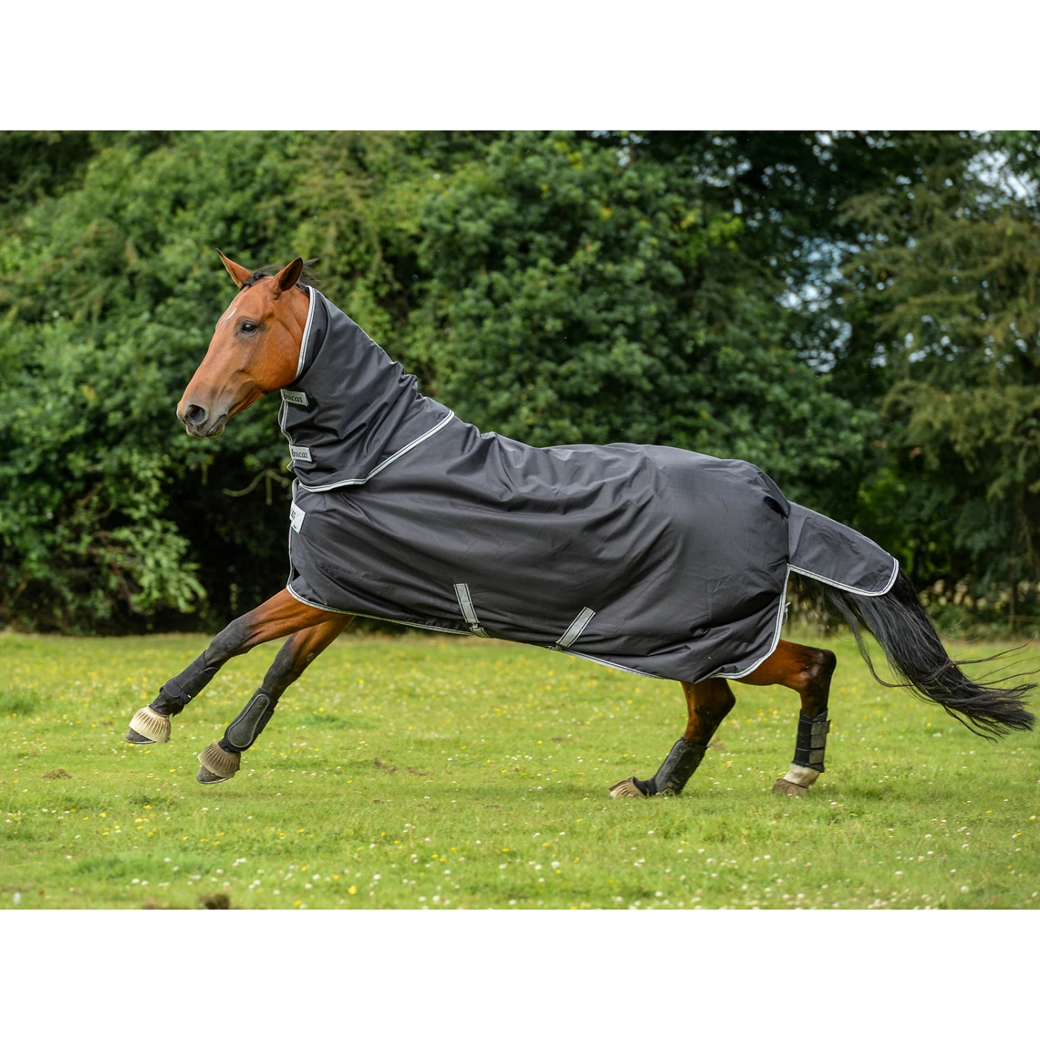 Bucas Smartex Combi Neck Halsteil 300 4 Bucas Smartex Combi Neck Halsteil 300 – Bild 2