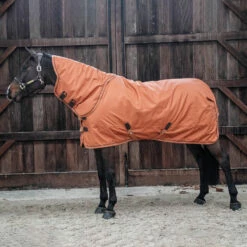 Kentucky Horsewear All Weather Halsteil 150g -Reitsportbedarf Verkäufe 2024 306135 ASOR 2