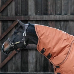 Kentucky Horsewear All Weather Halsteil 150g -Reitsportbedarf Verkäufe 2024 306135 ASOR 3