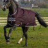 Horseware Amigo Hero Ripstop Regendecke Mit Fleecefutter, 50g -Reitsportbedarf Verkäufe 2024 306260 FPU FPU 1